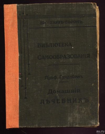 Лот: 13400532. Фото: 1. Профессор Н.П. Гундобин. Домашний... Книги