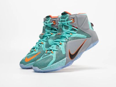 Лот: 5391909. Фото: 1. Кроссовки Nike Lebron 12. Кеды, кроссовки, слипоны