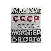 Лот: 9692453. Фото: 1. Знак. Кандидат мастера спорта... Сувенирные