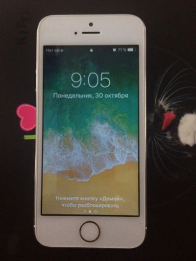 Лот: 11152574. Фото: 1. Iphone 5s white 16gb. Смартфоны