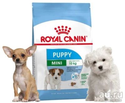 Лот: 8177535. Фото: 1. Royal Canin Mini Puppy (Роял Канин... Корма