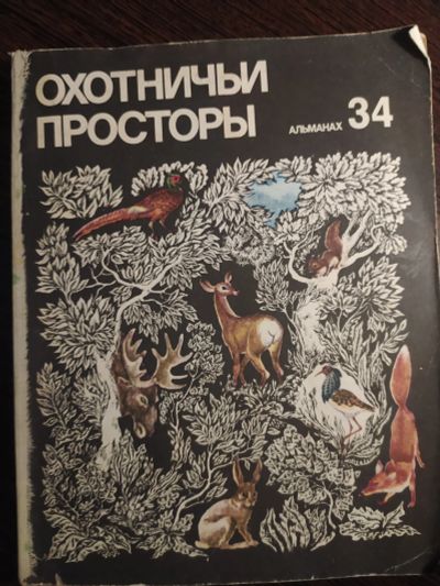 Лот: 16259915. Фото: 1. охотничьи просторы альманах 34. Другое (литература, книги)