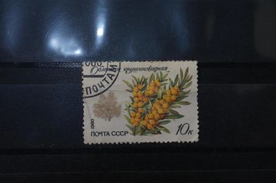 Лот: 3991898. Фото: 1. марки СССР 3 Облепиха крушиновидная... Марки