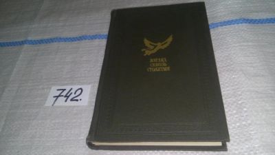 Лот: 11674447. Фото: 1. Взгляд сквозь столетия. Русская... Художественная