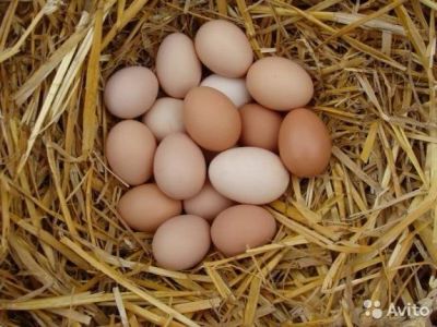 Лот: 11844296. Фото: 1. Яйцо домашнее. Зелень. Мясо, птица, яйцо