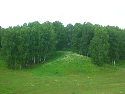 Лот: 10038284. Фото: 1. Земельный участок Солонцы.ЛЕС... Земельные участки
