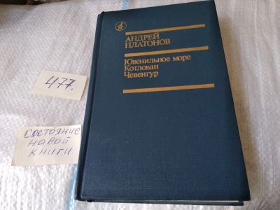 Лот: 17462113. Фото: 1. Ювенильное море. Котлован. Чевенгур... Художественная