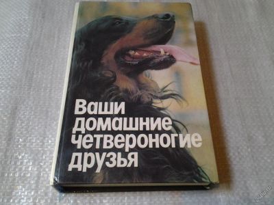 Лот: 11881545. Фото: 1. Ваши домашние четвероногие друзья. Другое (животные и уход)