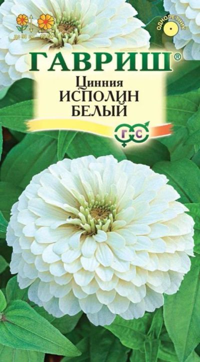 Лот: 11025566. Фото: 1. Цинния Исполин белый 0,3г Гавриш. Садовые цветы