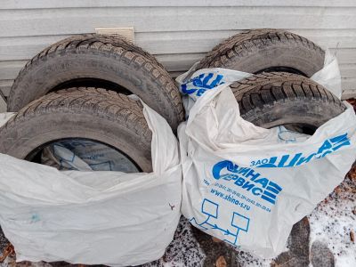 Лот: 24919030. Фото: 1. Nokian Tyres Hakkapeliitta 5 SUV... Шины