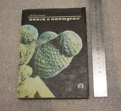 Лот: 20037830. Фото: 1. Книга о кактусах. Залетаева И... Книги для родителей