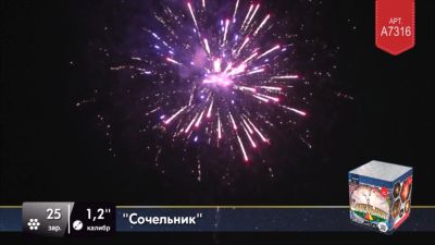 Лот: 15241809. Фото: 1. Салют 25 выстрелов на высоту 30... Фейерверки, салюты, пиротехника