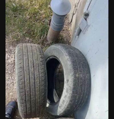 Лот: 25300179. Фото: 1. Шины Nexen. Шины