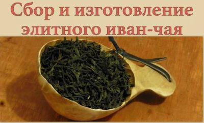 Лот: 6124806. Фото: 1. Чайный сбор. Иван чай Копорский. Другое (красота и здоровье)