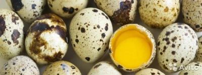 Лот: 9887930. Фото: 1. Яйцо перепелинное. Мясо, птица, яйцо