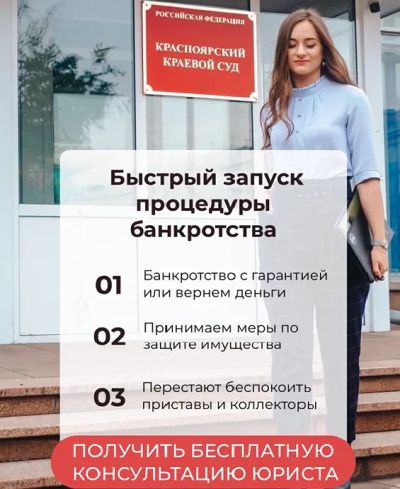 Лот: 18353127. Фото: 1. Банкротство физических лиц (списание... Другие (деловые услуги)