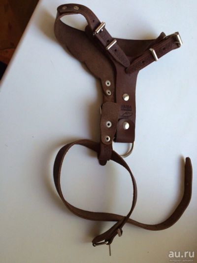 Лот: 9638030. Фото: 1. Шлейка. Собаки, щенки