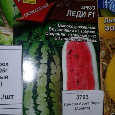 Лот: 9125054. Фото: 1. Семена / Арбуз / Леди / (3793). Овощи