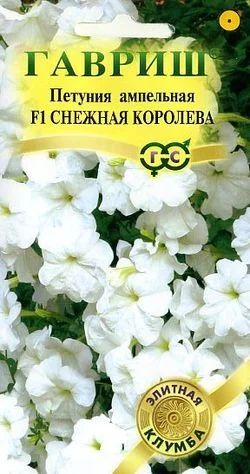 Лот: 4019224. Фото: 1. Петуния Снежная королева (рассада... Другое (семена, рассада, садовые растения)