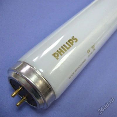 Лот: 5957212. Фото: 1. Лампа люминесцентная philips 18... Другое освещение