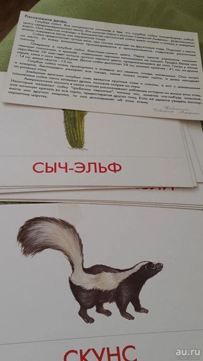 Лот: 9379622. Фото: 1. Животные Северной Америки. Познавательная литература