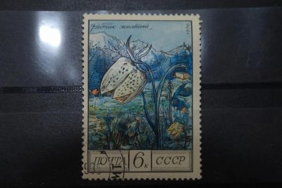 Лот: 3961912. Фото: 1. марка 53 СССР рябчик желтый флора. Марки