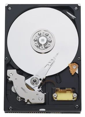 Лот: 4946791. Фото: 1. Western Digital WD800BB 80 Gb. Жёсткие диски (HDD)