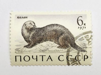 Лот: 23316243. Фото: 1. Животные. Морские млекопитающие... Марки