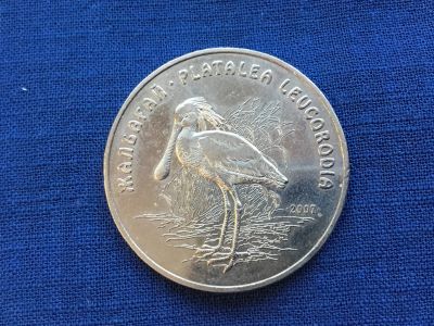 Лот: 8597402. Фото: 1. Казахстан 50 тенге 2007 Колпица. Страны СНГ и Балтии