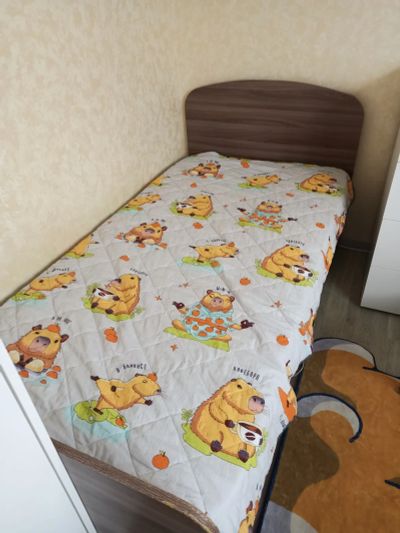 Лот: 25789686. Фото: 1. Кровать детская. Детские кровати и кроватки