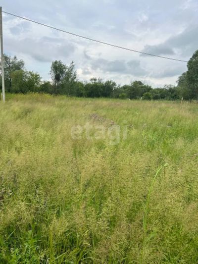 Лот: 25295611. Фото: 1. участок , село Есаулово село Есаулово... Земельные участки