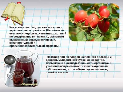 Лот: 11935115. Фото: 1. Шиповник ягода свежая.Урожай 2018... Другое (продукты)