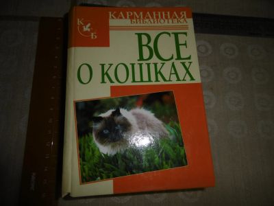 Лот: 19436004. Фото: 1. " Всё о кошках". Орлова Л. Мн... Домашние животные