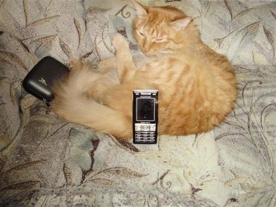Лот: 640325. Фото: 1. sony Ericsson k790i продажа,обмен. Кнопочные мобильные телефоны