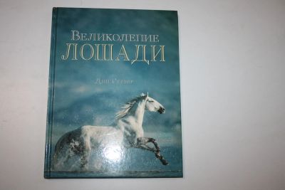 Лот: 23323931. Фото: 1. Великолепие лошади. Сервер Дин... Домашние животные