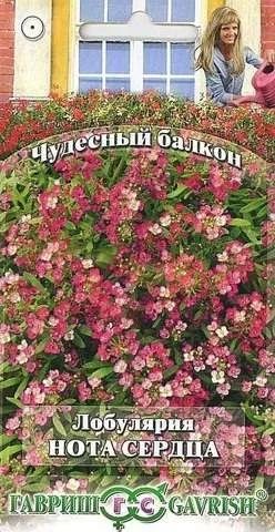 Лот: 11024353. Фото: 1. Лобулярия Нота сердца* 0,1 г серия... Садовые цветы