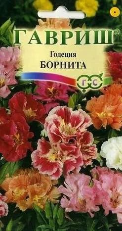 Лот: 11024303. Фото: 1. Годеция Борнита* 0,1 г Н9. Садовые цветы