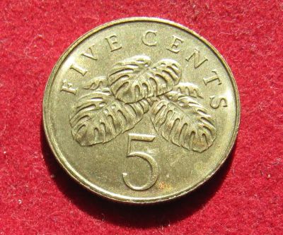 Лот: 19485225. Фото: 1. Сингапур 5 центов, 2007 г. Азия