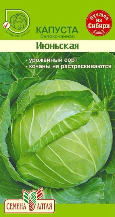 Лот: 11016979. Фото: 1. Семена капусты белокочанной "Июньская... Овощи