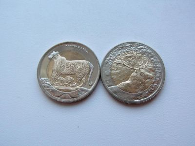 Лот: 6440141. Фото: 1. Турция 1 лира 2012 г набор из... Наборы монет