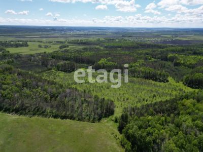 Лот: 25290499. Фото: 1. участок , Красноярск Красноярск... Земельные участки