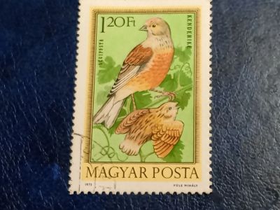 Лот: 25433824. Фото: 1. - Марки для Вашей коллекции. лот... Марки
