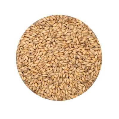 Лот: 7531063. Фото: 1. солод Курский. Крупы, сыпучие продукты