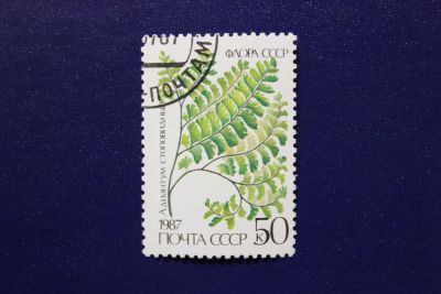 Лот: 6855895. Фото: 1. Почтовая марка №4065 в коллекцию. Марки