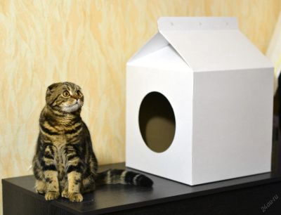 Лот: 6893327. Фото: 1. Домик, Дом для кошки, кота, котика. Домики, переноски, клетки, когтеточки