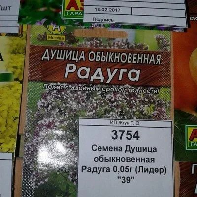 Лот: 9118732. Фото: 1. Семена / Душица / обыкновенная... Пряные, лекарственные растения и зелень