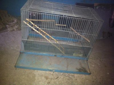 Лот: 5214330. Фото: 1. Клетка,с Подарком!!!. Домики, переноски, клетки, когтеточки