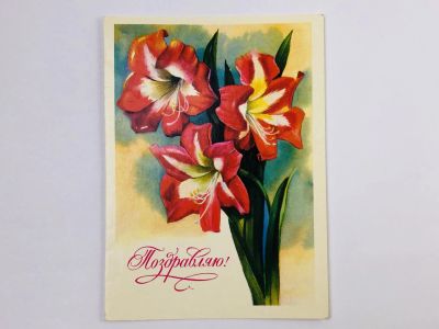Лот: 23297416. Фото: 1. Поздравляю! Цветы. Открытка. 1970-1989. Открытки, конверты