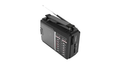 Лот: 16310189. Фото: 1. Радиоприемник Ritmix RPR-190 FM... Тюнеры, радиоприёмники