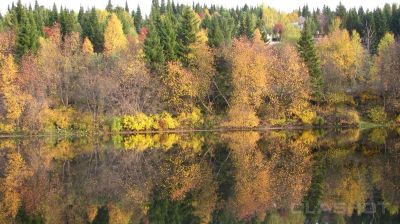 Лот: 5887670. Фото: 1. спокойная дача на крючково. Дачи